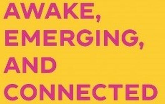 Awake, emerging and connected